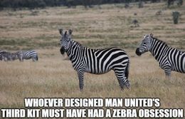 Zebra memes