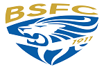 1200px brescia calcio badge.svg