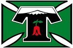 Deportes temuco